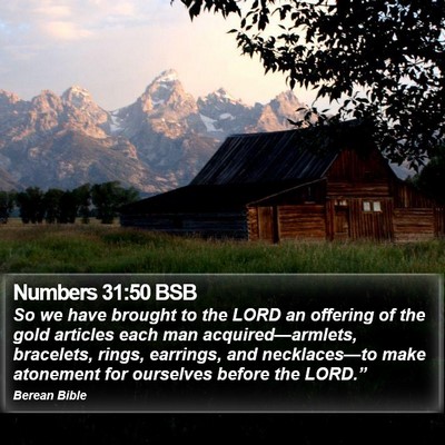 Numbers 31:50 BSB Bible Verse Image
