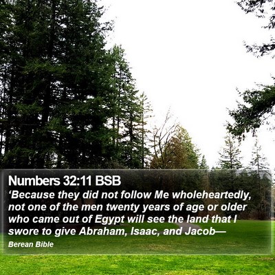Numbers 32:11 BSB Bible Verse Image