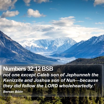 Numbers 32:12 BSB Bible Verse Image