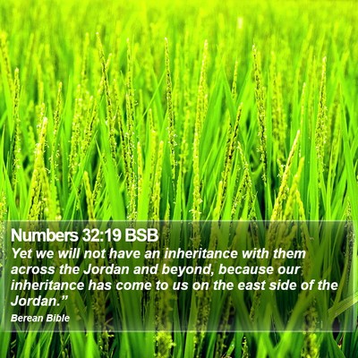 Numbers 32:19 BSB Bible Verse Image
