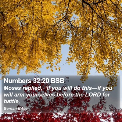 Numbers 32:20 BSB Bible Verse Image
