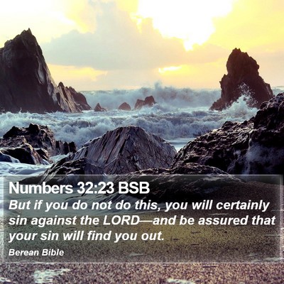 Numbers 32:23 BSB Bible Verse Image