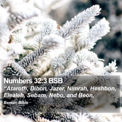 Numbers 32:3 BSB Bible Verse Image