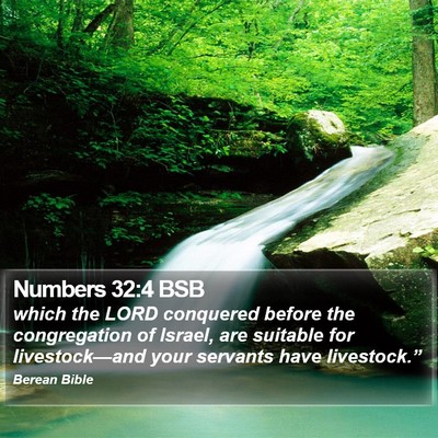 Numbers 32:4 BSB Bible Verse Image