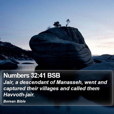 Numbers 32:41 BSB Bible Verse Image