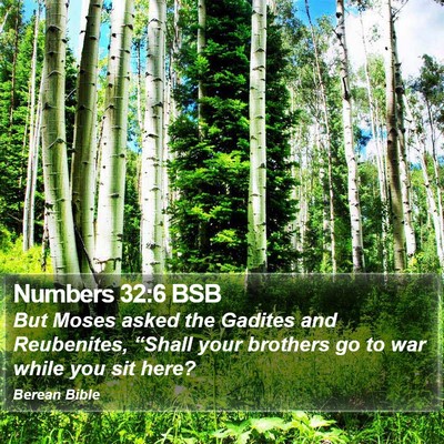 Numbers 32:6 BSB Bible Verse Image