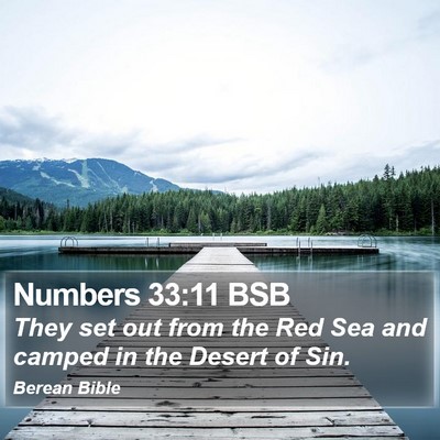 Numbers 33:11 BSB Bible Verse Image
