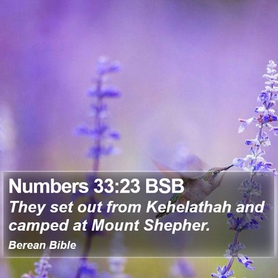 Numbers 33:23 BSB Bible Verse Image