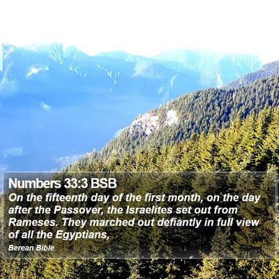 Numbers 33:3 BSB Bible Verse Image