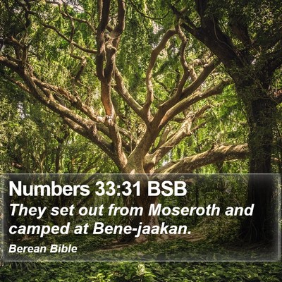 Numbers 33:31 BSB Bible Verse Image