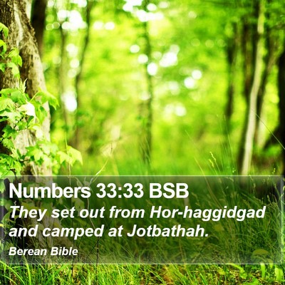 Numbers 33:33 BSB Bible Verse Image
