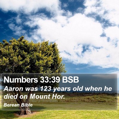 Numbers 33:39 BSB Bible Verse Image