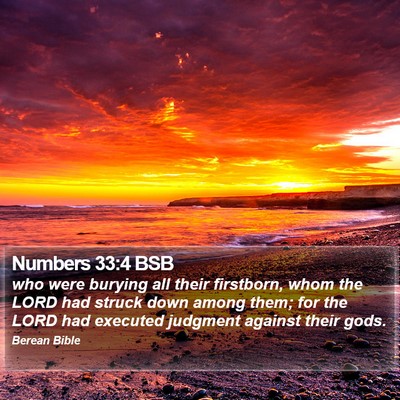 Numbers 33:4 BSB Bible Verse Image