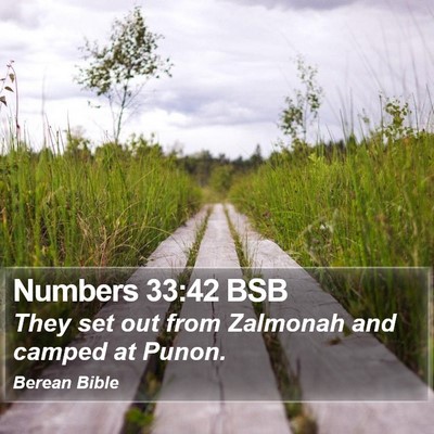 Numbers 33:42 BSB Bible Verse Image