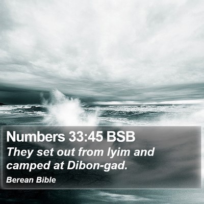 Numbers 33:45 BSB Bible Verse Image