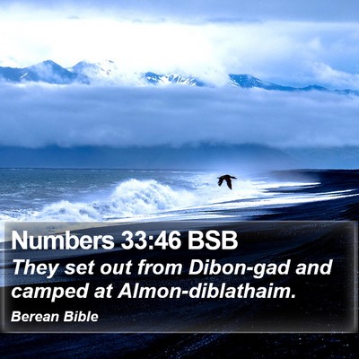 Numbers 33:46 BSB Bible Verse Image