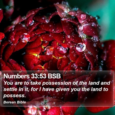 Numbers 33:53 BSB Bible Verse Image