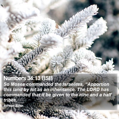 Numbers 34:13 BSB Bible Verse Image