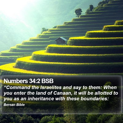 Numbers 34:2 BSB Bible Verse Image