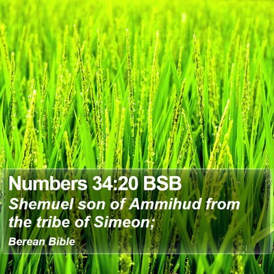 Numbers 34:20 BSB Bible Verse Image