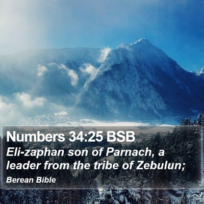 Numbers 34:25 BSB Bible Verse Image