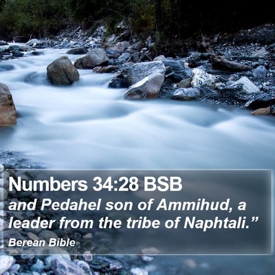 Numbers 34:28 BSB Bible Verse Image