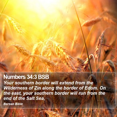 Numbers 34:3 BSB Bible Verse Image