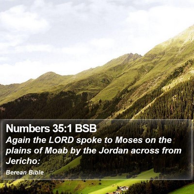Numbers 35:1 BSB Bible Verse Image