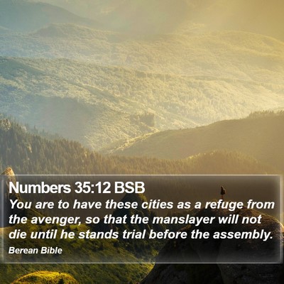 Numbers 35:12 BSB Bible Verse Image