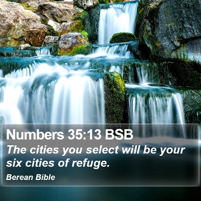 Numbers 35:13 BSB Bible Verse Image