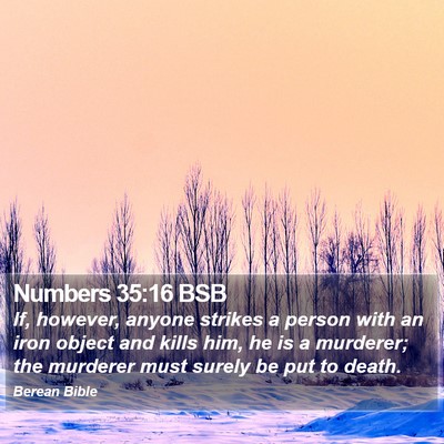 Numbers 35:16 BSB Bible Verse Image