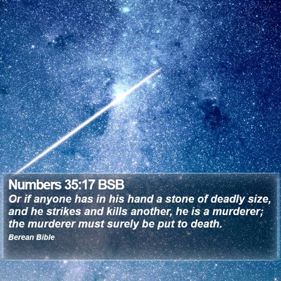 Numbers 35:17 BSB Bible Verse Image