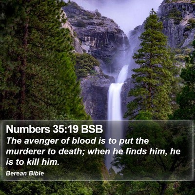Numbers 35:19 BSB Bible Verse Image