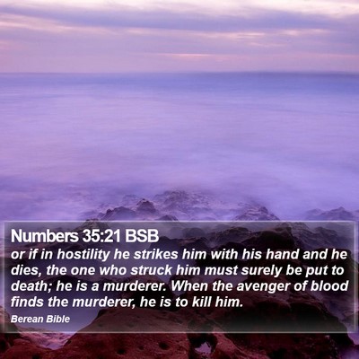 Numbers 35:21 BSB Bible Verse Image