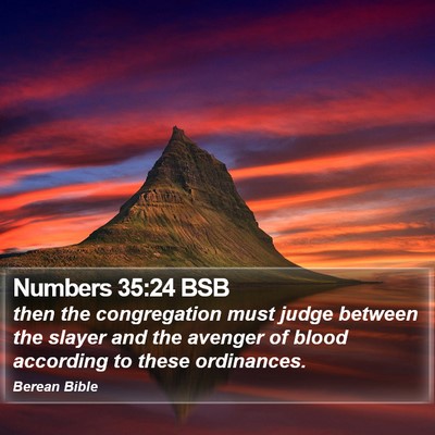 Numbers 35:24 BSB Bible Verse Image