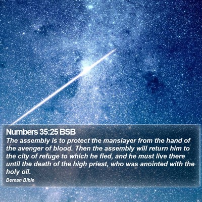 Numbers 35:25 BSB Bible Verse Image