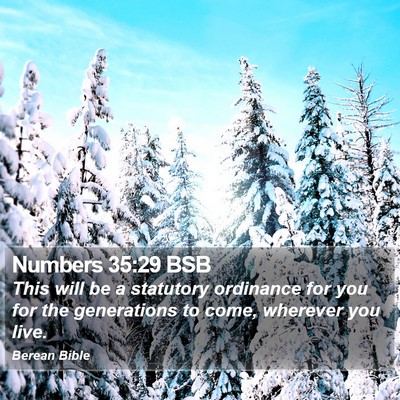 Numbers 35:29 BSB Bible Verse Image