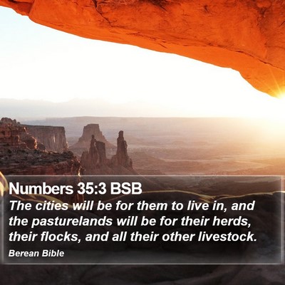 Numbers 35:3 BSB Bible Verse Image
