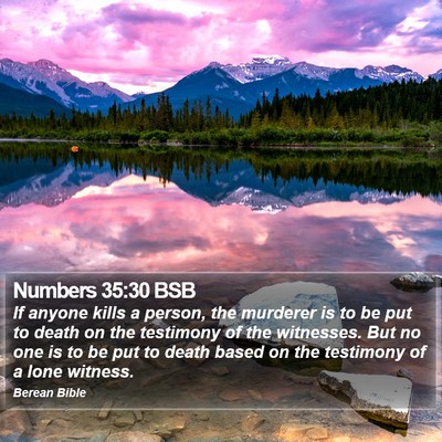 Numbers 35:30 BSB Bible Verse Image