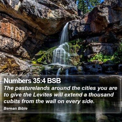 Numbers 35:4 BSB Bible Verse Image