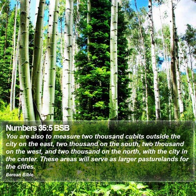 Numbers 35:5 BSB Bible Verse Image