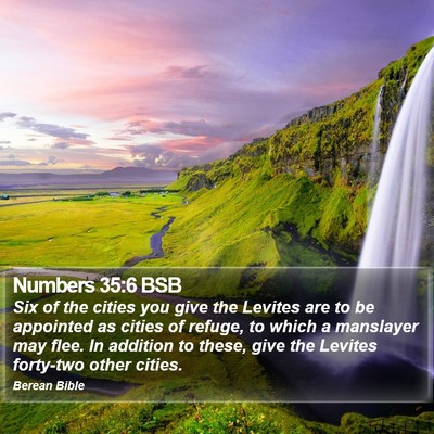 Numbers 35:6 BSB Bible Verse Image