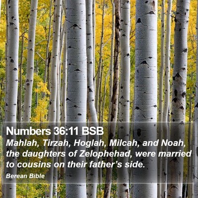 Numbers 36:11 BSB Bible Verse Image