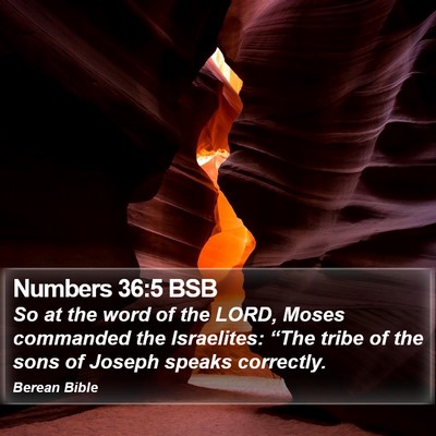 Numbers 36:5 BSB Bible Verse Image
