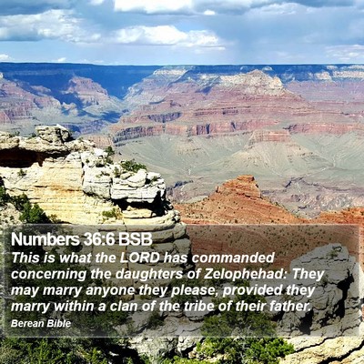 Numbers 36:6 BSB Bible Verse Image