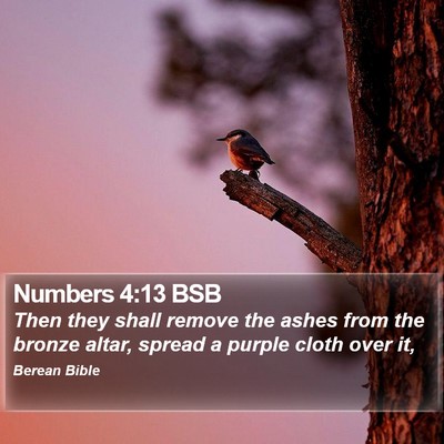 Numbers 4:13 BSB Bible Verse Image