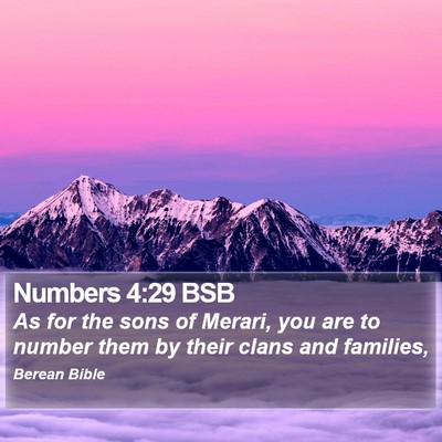 Numbers 4:29 BSB Bible Verse Image