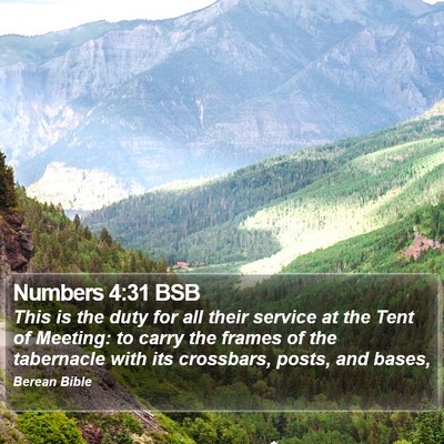 Numbers 4:31 BSB Bible Verse Image