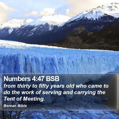 Numbers 4:47 BSB Bible Verse Image