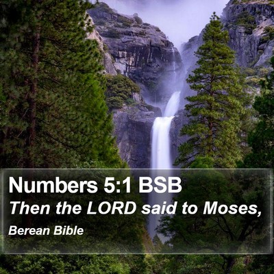 Numbers 5:1 BSB Bible Verse Image